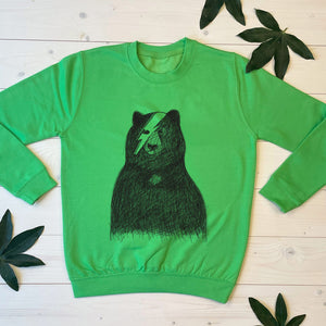 bowie bear green jumper kids